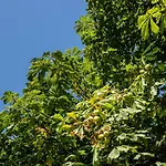Frühstückspension De Raayhof