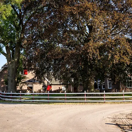 De Raayhof Bed & Breakfast