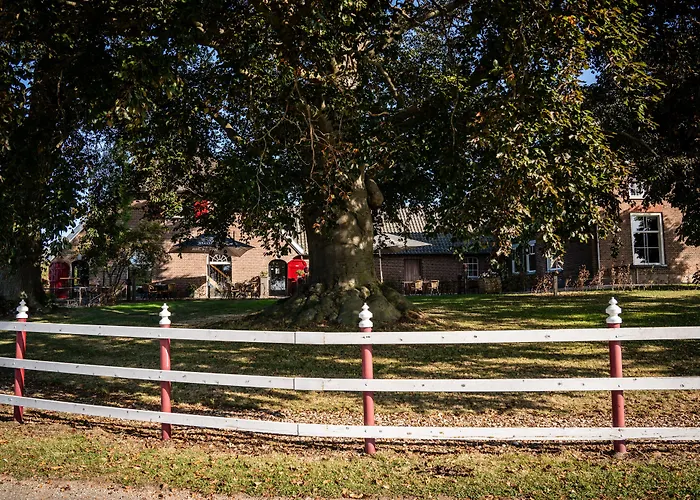 Bed & Breakfast De Raayhof